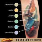 halo color guide 1