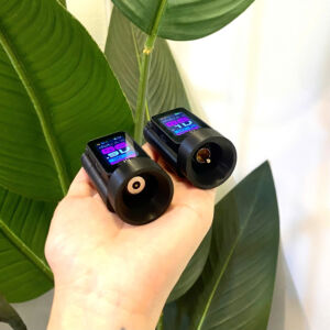 Pin BISHOP - Ảnh 5